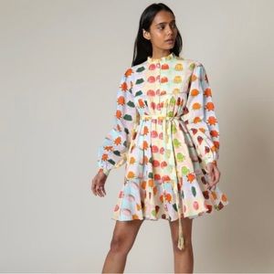 Rachel Antonoff Jello Mold Dress